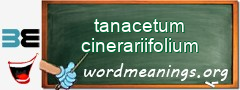 WordMeaning blackboard for tanacetum cinerariifolium